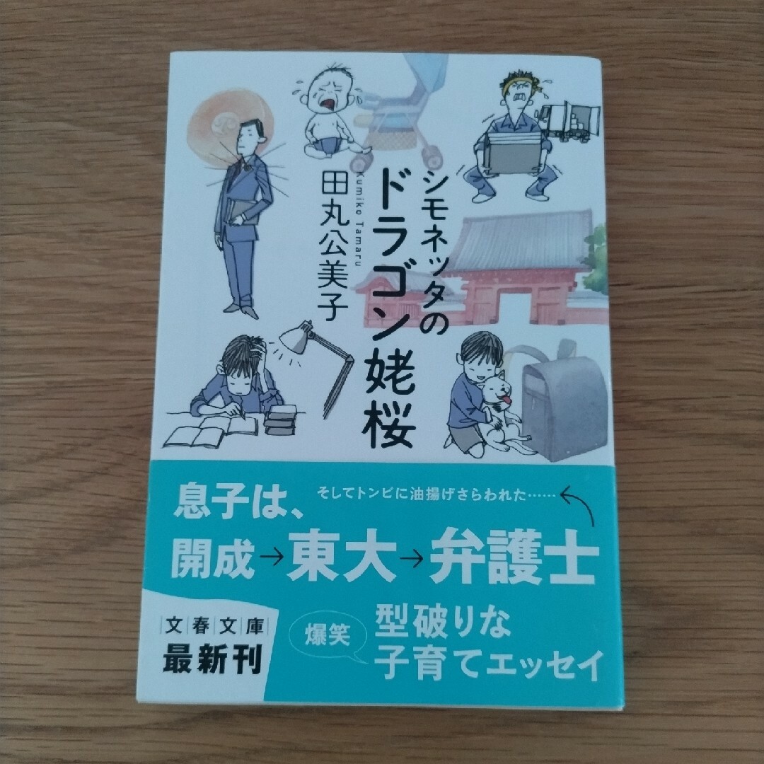 シモネッタのドラゴン姥桜 エンタメ/ホビーの本(文学/小説)の商品写真