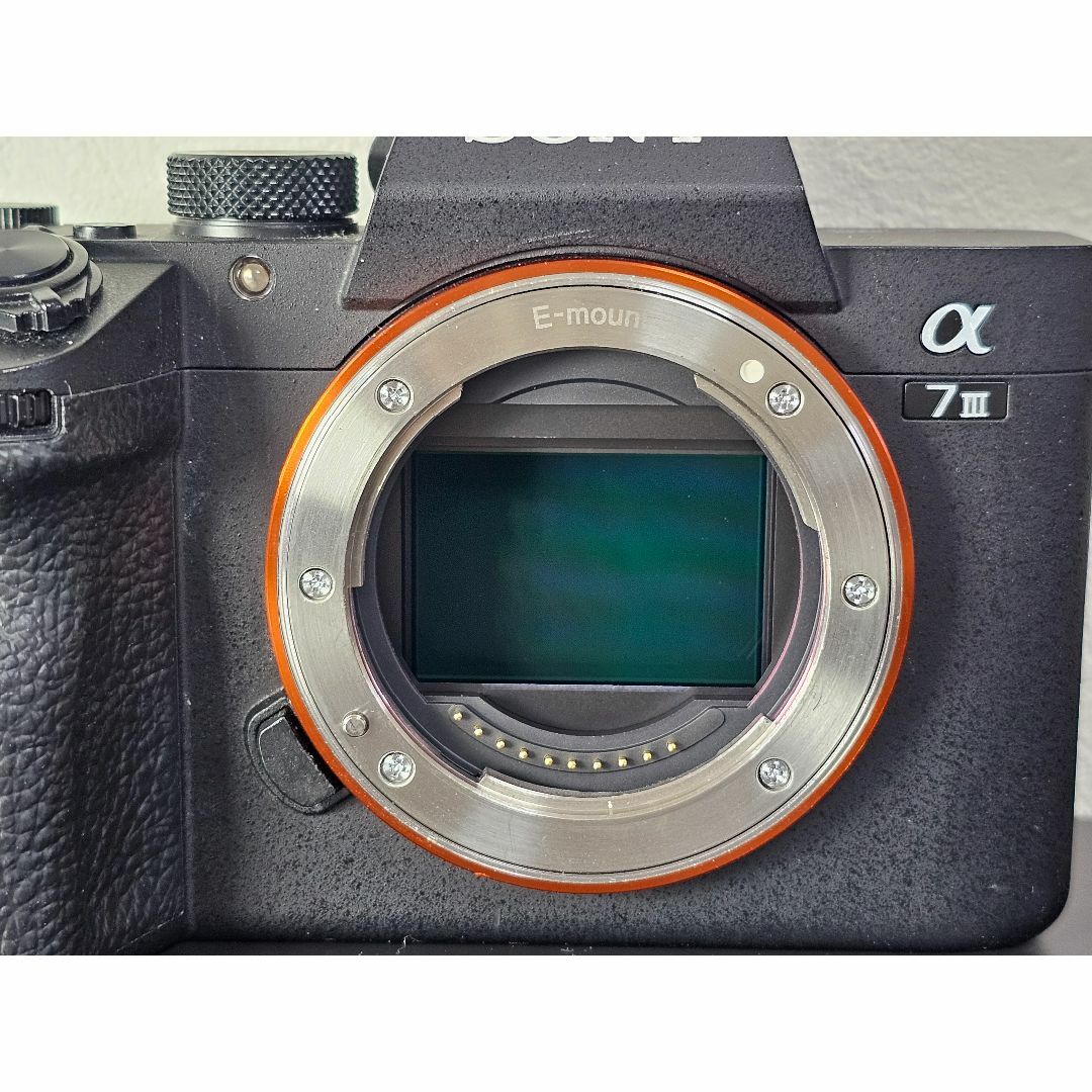 ショット数14,485枚」SONY α7 III ILCE-7M3 ボディ カメラ ショット数14,485枚」SONY α7 III ILCE-7M3 ボディ カメラ