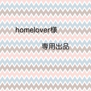 homelover様専用  マウンテンパーカー ホワイト M L(その他)