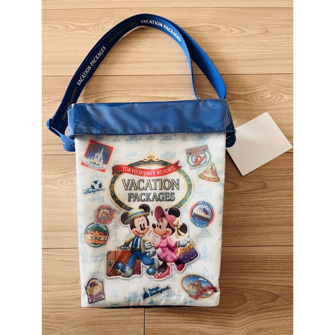 Disney(ディズニー)の【さくら..com様専用】バケーションパッケージ ポップコーンケース✖️2 個 エンタメ/ホビーのおもちゃ/ぬいぐるみ(キャラクターグッズ)の商品写真