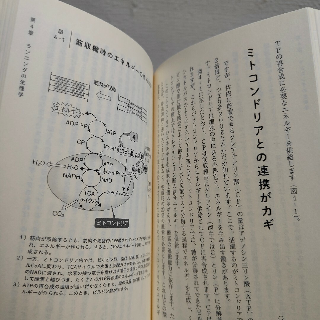 講談社(コウダンシャ)の『 ランニングする前に読む本 』■ 田中宏暁 エンタメ/ホビーの本(趣味/スポーツ/実用)の商品写真