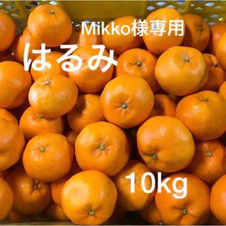 和歌山県産はるみ10kg Mikko様専用(フルーツ)