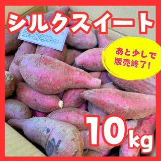 さつまいもシルクスイート１０kg(野菜)