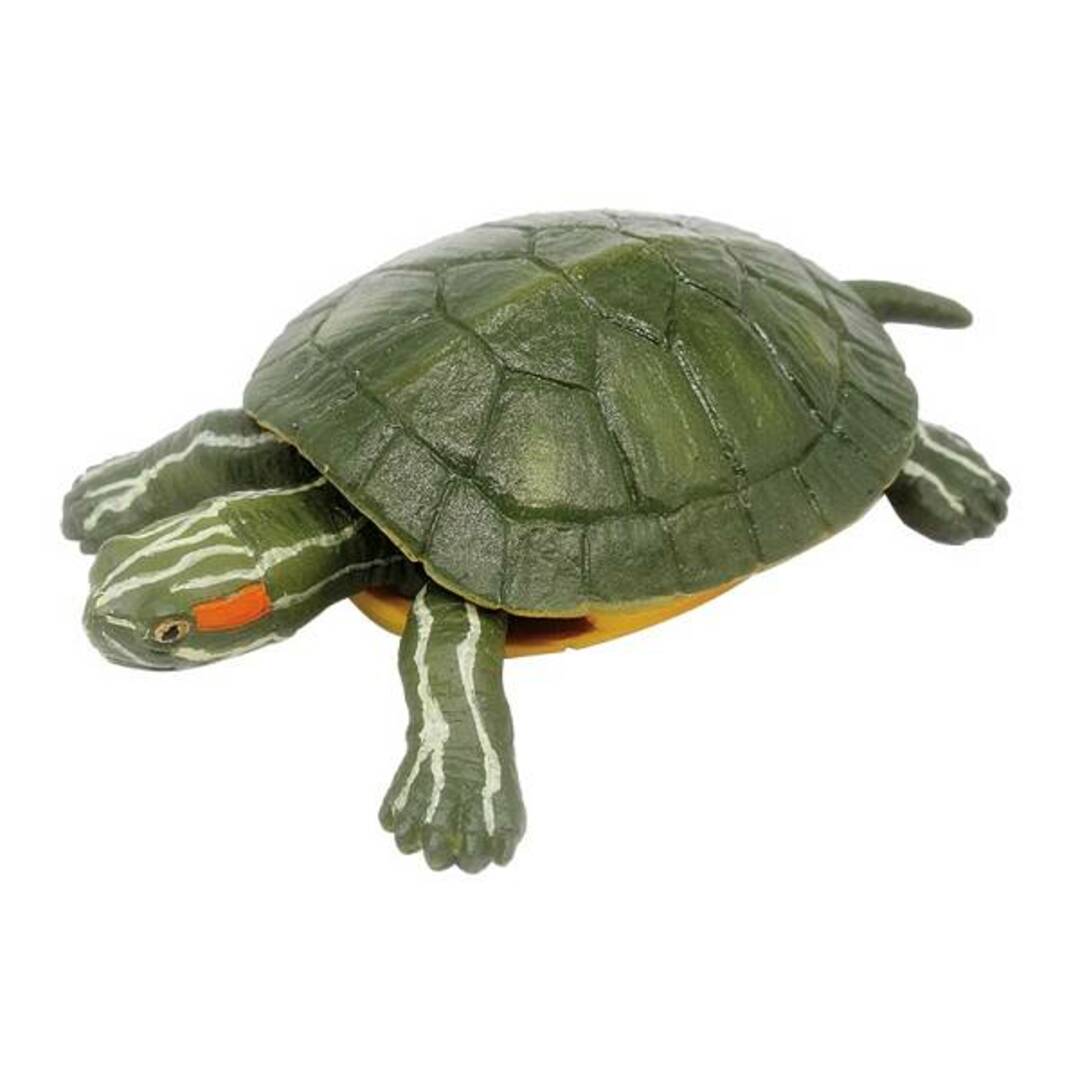 【アカミミガメ A】 あそべる生物フィギュアシリーズ 世界の亀たち2 エンタメ/ホビーのアニメグッズ(その他)の商品写真