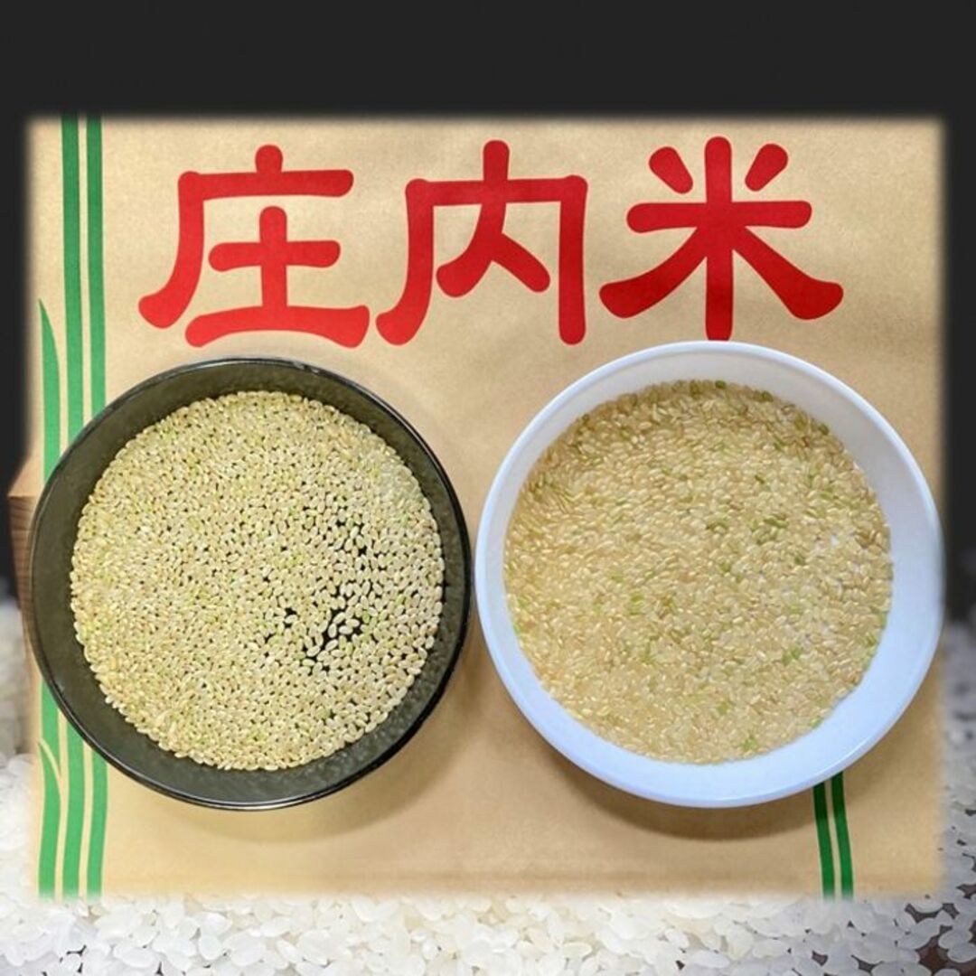 山形県庄内産　つや姫中粒米　白米5kg 食品/飲料/酒の食品(米/穀物)の商品写真