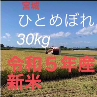 ひとめぼれ　玄米30kg  ご専用(米/穀物)