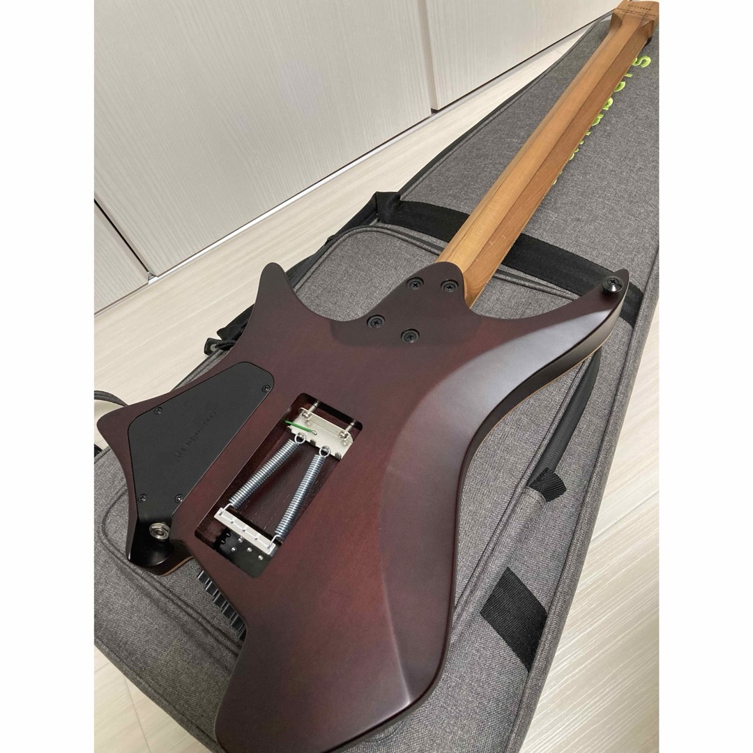 Strandberg Boden Standard 6 SSH Trem 楽器のギター(エレキギター)の商品写真