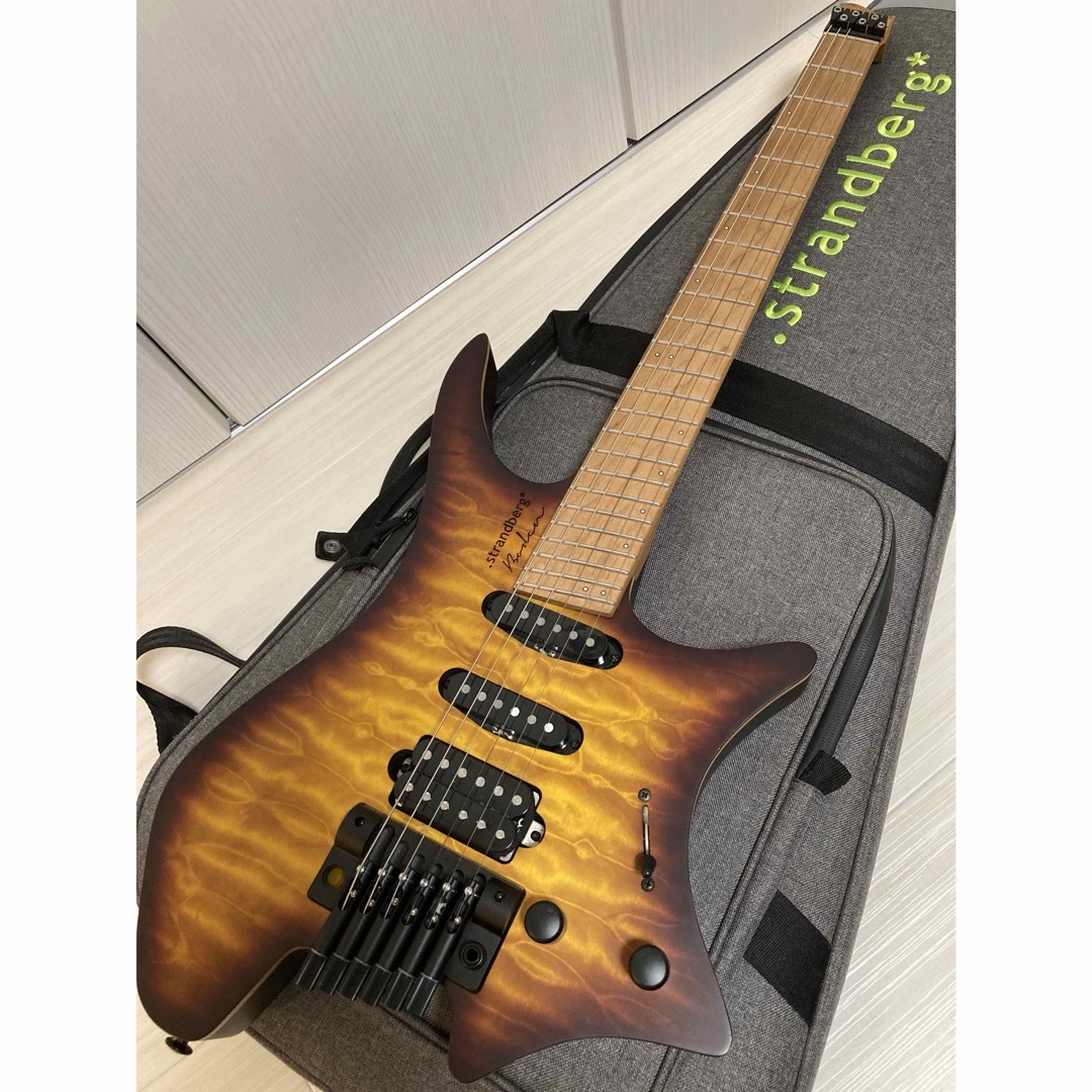 Strandberg Boden Standard 6 SSH Trem 楽器のギター(エレキギター)の商品写真