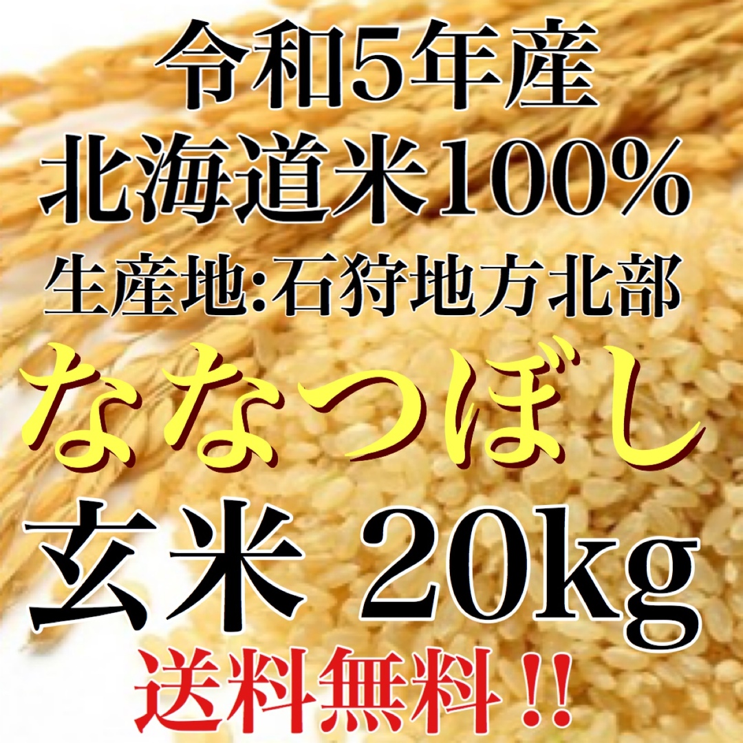 令和5年度産北海道米100%ななつぼし 玄米20キロ 食品/飲料/酒の食品(米/穀物)の商品写真