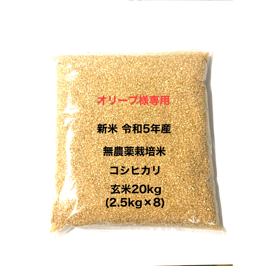 オリーブ様専用 無農薬コシヒカリ玄米20kg(2.5kg×8)令和5年産の通販 by