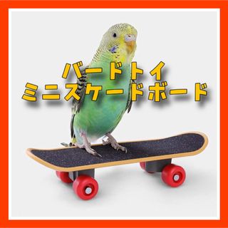 GG11鳥のおもちゃ スケートボード バードトイ おもちゃ 知育 小鳥 インコ(鳥)