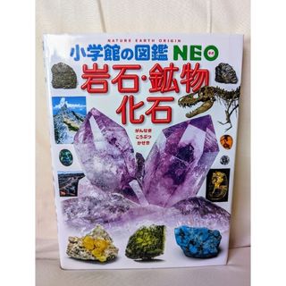 ショウガクカン(小学館)の小学館の図鑑neo　【岩石　鉱物　化石】(絵本/児童書)