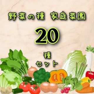 野菜の種 20種セット カラフル人参 小蕪 サニーレタス 九条ネギ 赤紫蘇 種子(プランター)