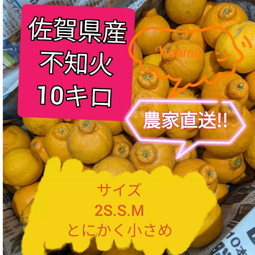 不知火10キロ 食品/飲料/酒の食品(フルーツ)の商品写真