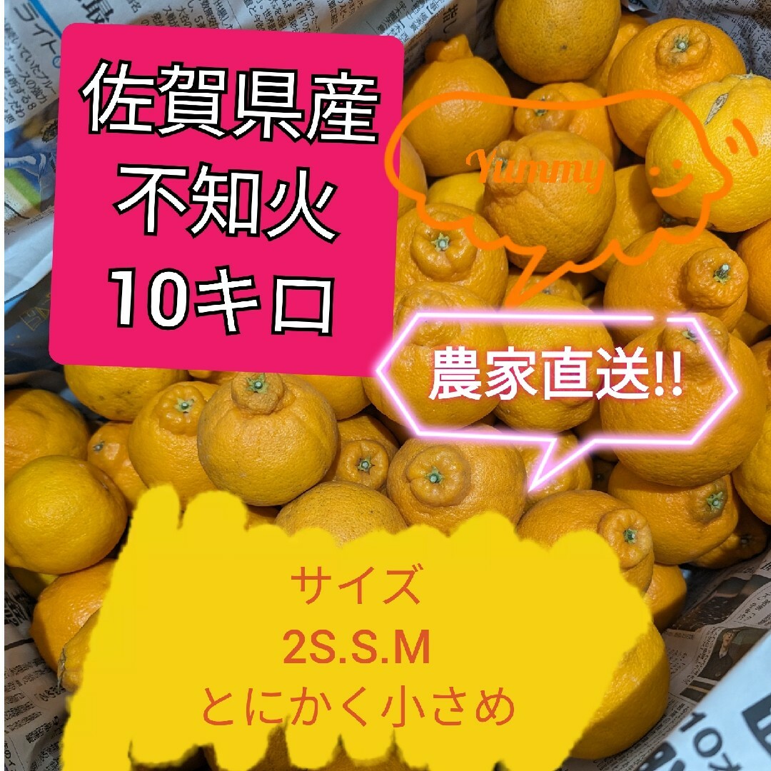 不知火10キロ 食品/飲料/酒の食品(フルーツ)の商品写真