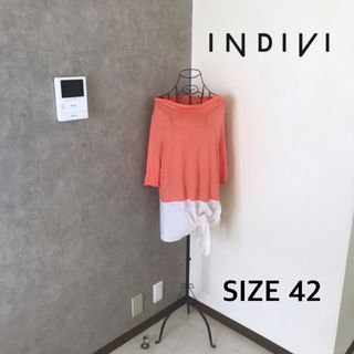 インディヴィ(INDIVI)のインディヴィ♡1度着用　カットソー　大きいサイズ 42(カットソー(半袖/袖なし))