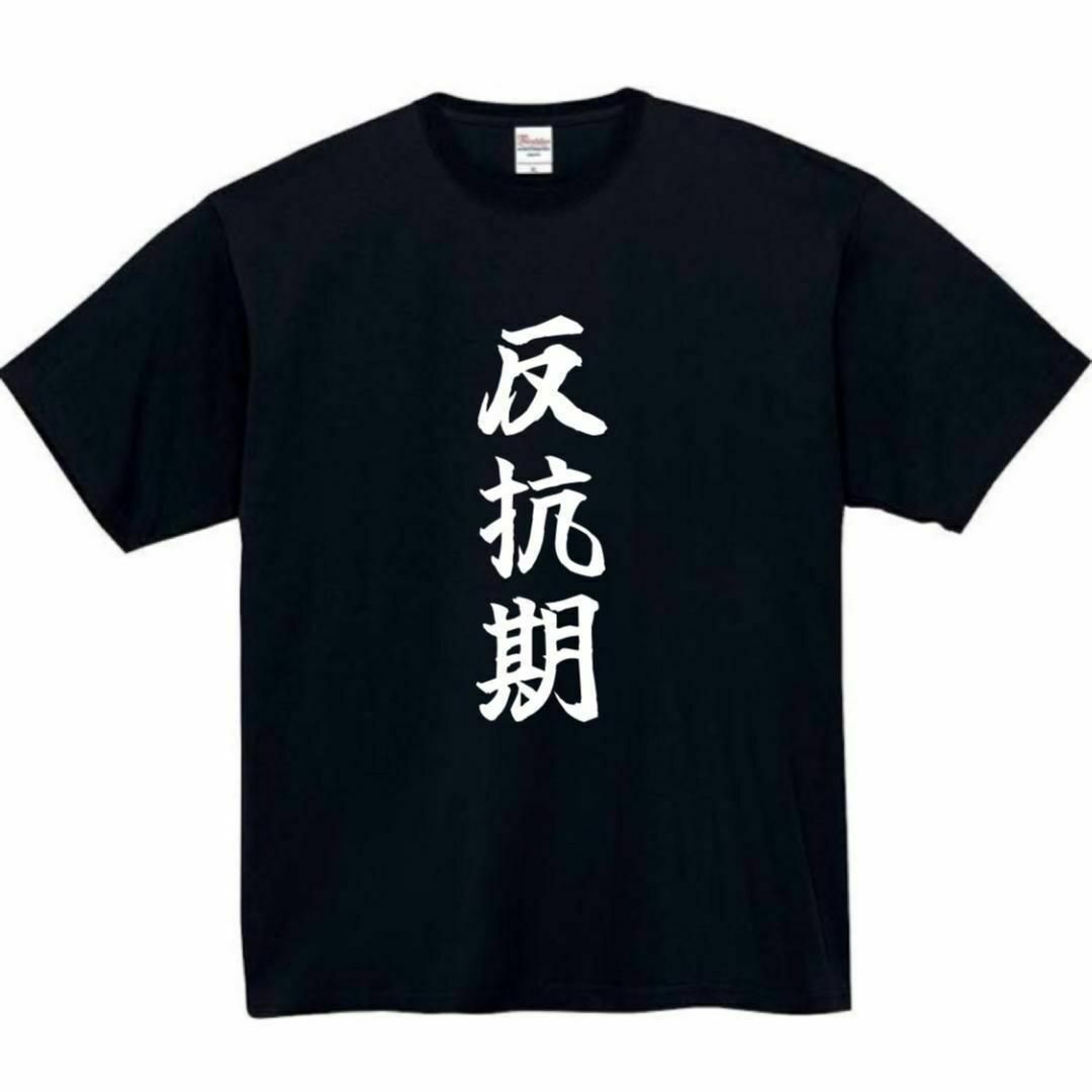 反抗期　面白いtシャツ　ふざけtシャツ　おもしろ　tシャツ　メンズ　黒　中二病 メンズのトップス(Tシャツ/カットソー(半袖/袖なし))の商品写真