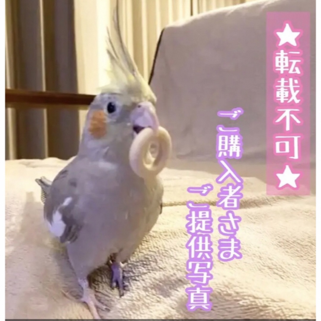 天然木の２連わなげ★インコや文鳥の小鳥のハンドメイドおもちゃ　輪投げ　バードトイ ハンドメイドのペット(おもちゃ/ペット小物)の商品写真