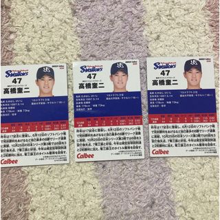 トウキョウヤクルトスワローズ(東京ヤクルトスワローズ)の高橋奎二 プロ野球チップスカード(スポーツ選手)