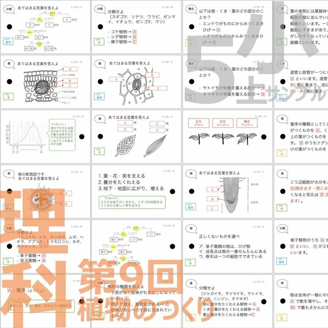 中学受験 暗記カード【5年上 社会・理科6-9回】 予習シリーズ