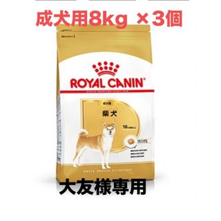 ロイヤルカナン(ROYAL CANIN)の大友様専用　ロイヤルカナ柴犬成犬用8kg ×3個(ペットフード)