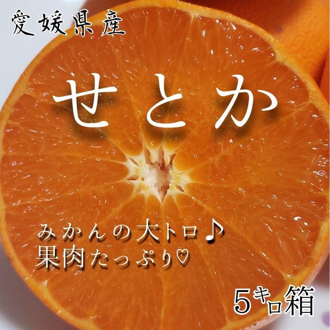 愛媛県産★農家直送★せとか 家庭用5キロ 食品/飲料/酒の食品(フルーツ)の商品写真