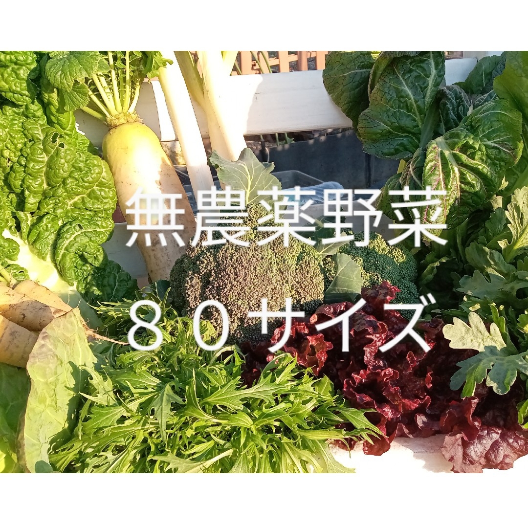 無農薬野菜　野菜詰め合わせ　新鮮　大阪産地直送　仁志様専用 食品/飲料/酒の食品(野菜)の商品写真