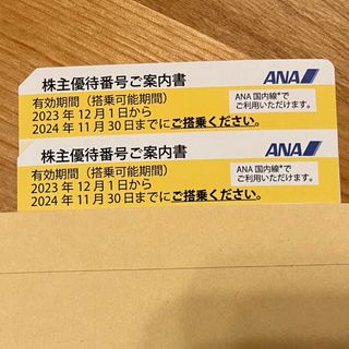 エーエヌエー(ゼンニッポンクウユ)(ANA(全日本空輸))のANA株主優待　2枚セット(その他)