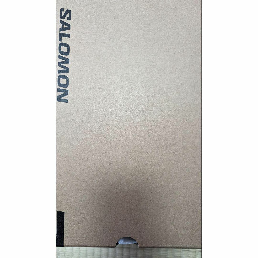 SALOMON(サロモン)のSalomon XT-6 サロモン XT-6 ゴアテックス 28.5 gtx メンズの靴/シューズ(スニーカー)の商品写真