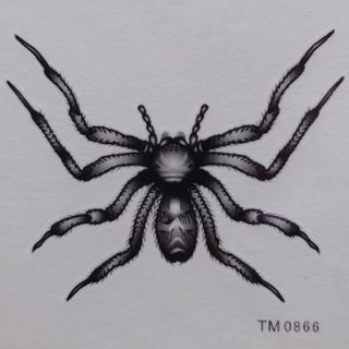 タトゥーシール ワンポイント アシダカグモ ブラックスパイダー 蜘蛛 毒蜘蛛 虫(アクセサリー)