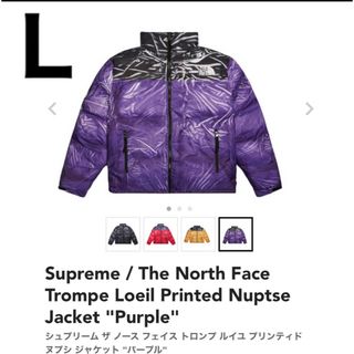 シュプリーム(Supreme)のThe North Face Trompe Loeil Printed (ダウンジャケット)