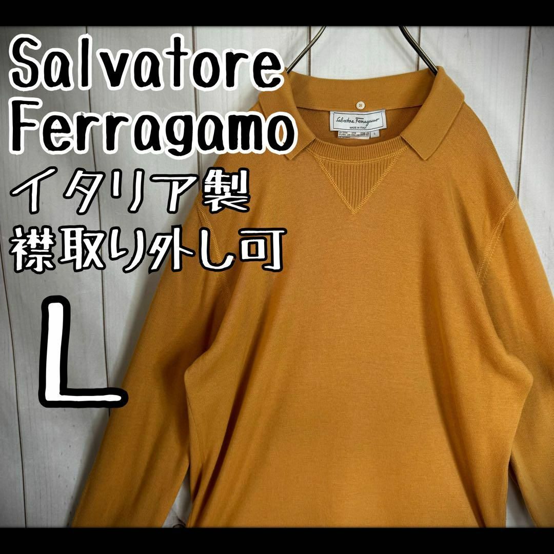 Salvatore Ferragamo(サルヴァトーレフェラガモ)の【超希少デザイン】　サルヴァトーレフェラガモ　ニット　イタリア製　襟取り外し可能 メンズのトップス(ニット/セーター)の商品写真