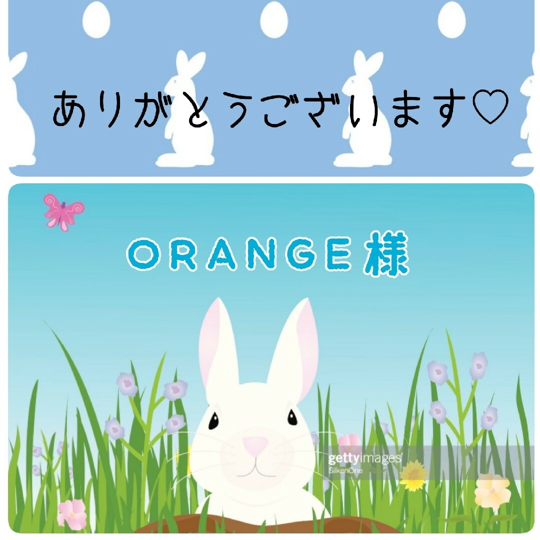 【ORANGE様】《26》 コスメ/美容のボディケア(ボディクリーム)の商品写真