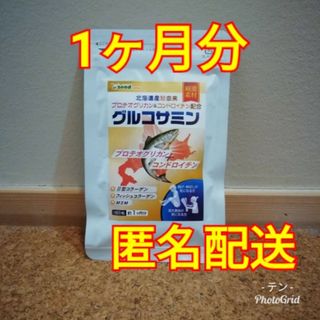 コンドロイチン配合グルコサミン＆北海道産鮭由来プロテオグリカン(その他)