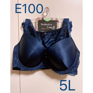 ブラジャー＆ショーツ E100 5L 紺色系(ブラ&ショーツセット)