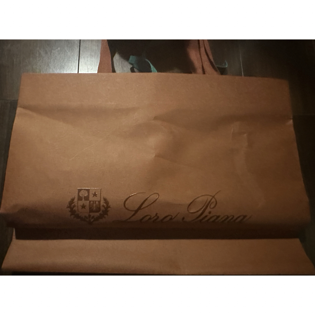 Loro Piana(ロロピアーナ)のロロピアーナ ショッパー 大 HERMES レディースのバッグ(ショップ袋)の商品写真