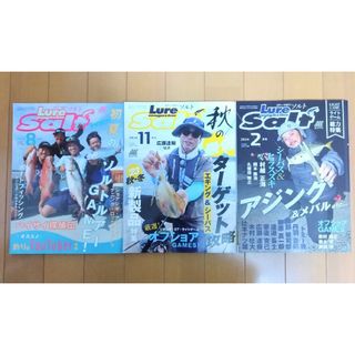 ルアーマガジンソルト 3冊セット2023年8月 11月 2024年2月(その他)