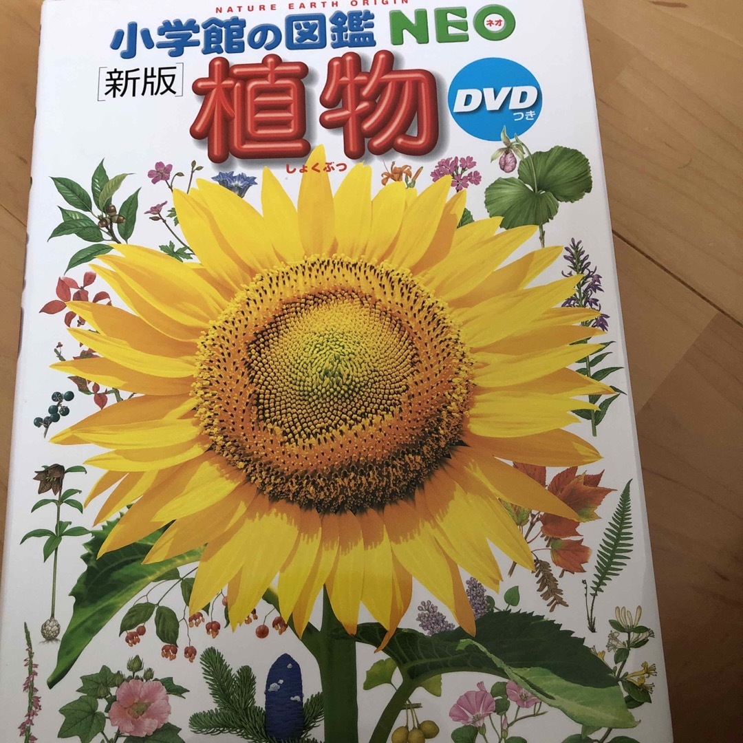 小学館(ショウガクカン)の植物　小学館の図鑑NEO 新版 エンタメ/ホビーの本(絵本/児童書)の商品写真