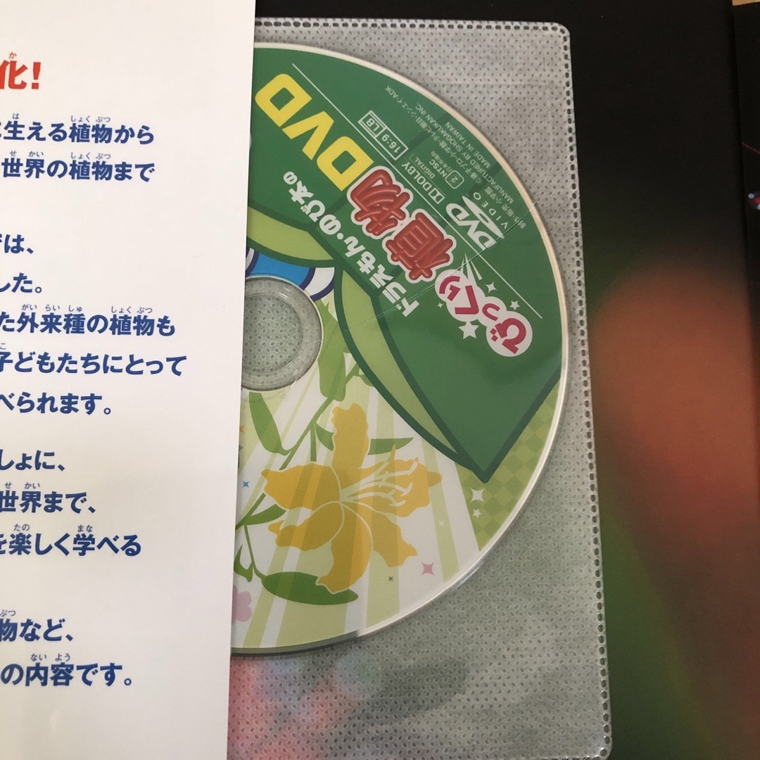 小学館(ショウガクカン)の植物　小学館の図鑑NEO 新版 エンタメ/ホビーの本(絵本/児童書)の商品写真