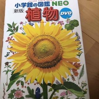 小学館 - 植物　小学館の図鑑NEO 新版