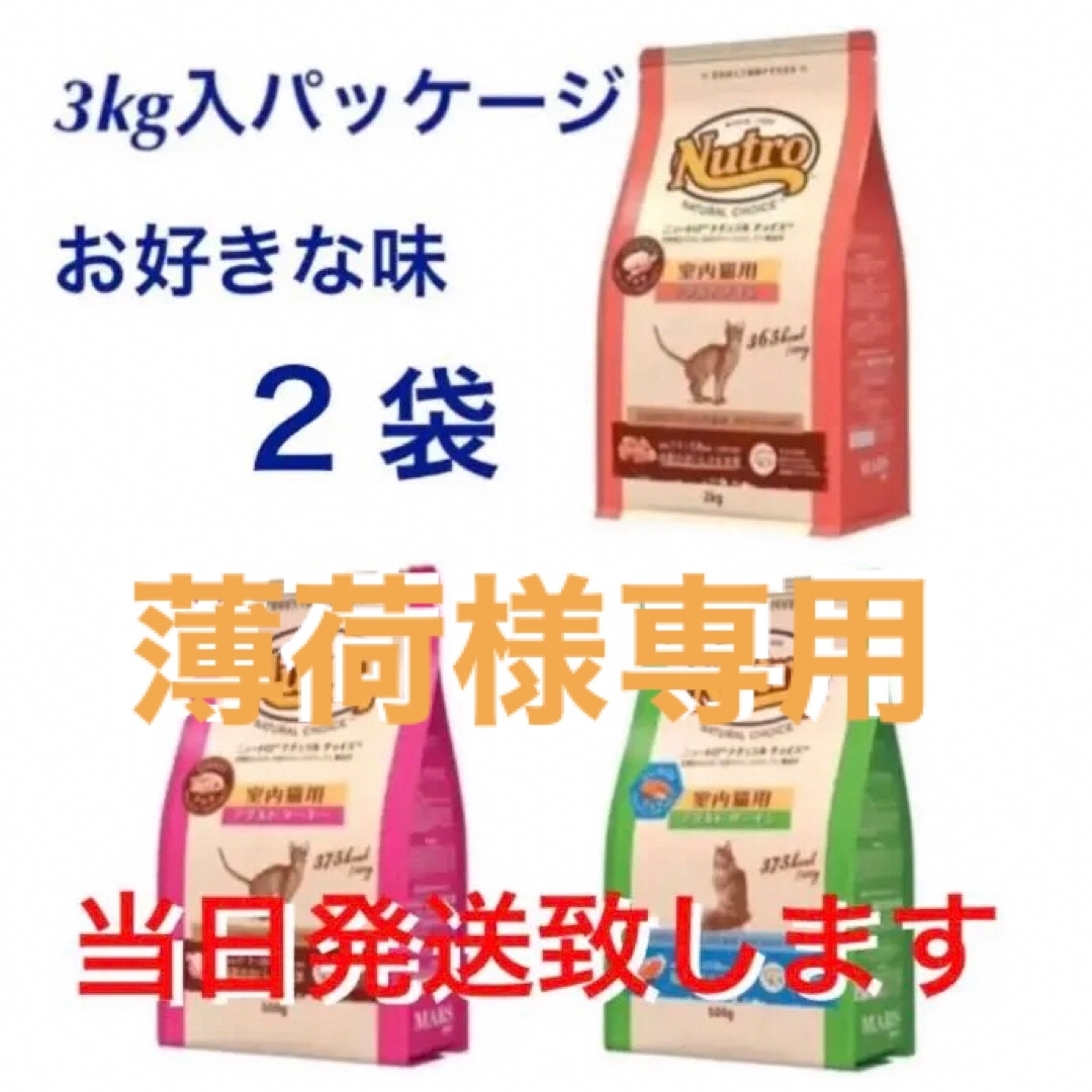 MARS(マース)のニュートロ　ナチュラルチョイス　キャット　アダルト　チキン　プロ/フード　猫用 その他のペット用品(ペットフード)の商品写真