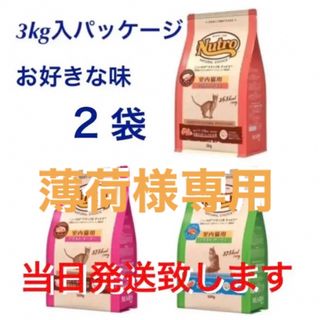 マース(MARS)のニュートロ　ナチュラルチョイス　キャット　アダルト　チキン　プロ/フード　猫用(ペットフード)