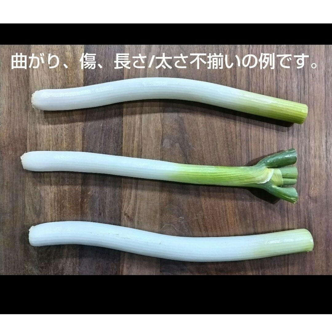 岡山県産　訳アリ　白ネギ　農家直送 食品/飲料/酒の食品(野菜)の商品写真