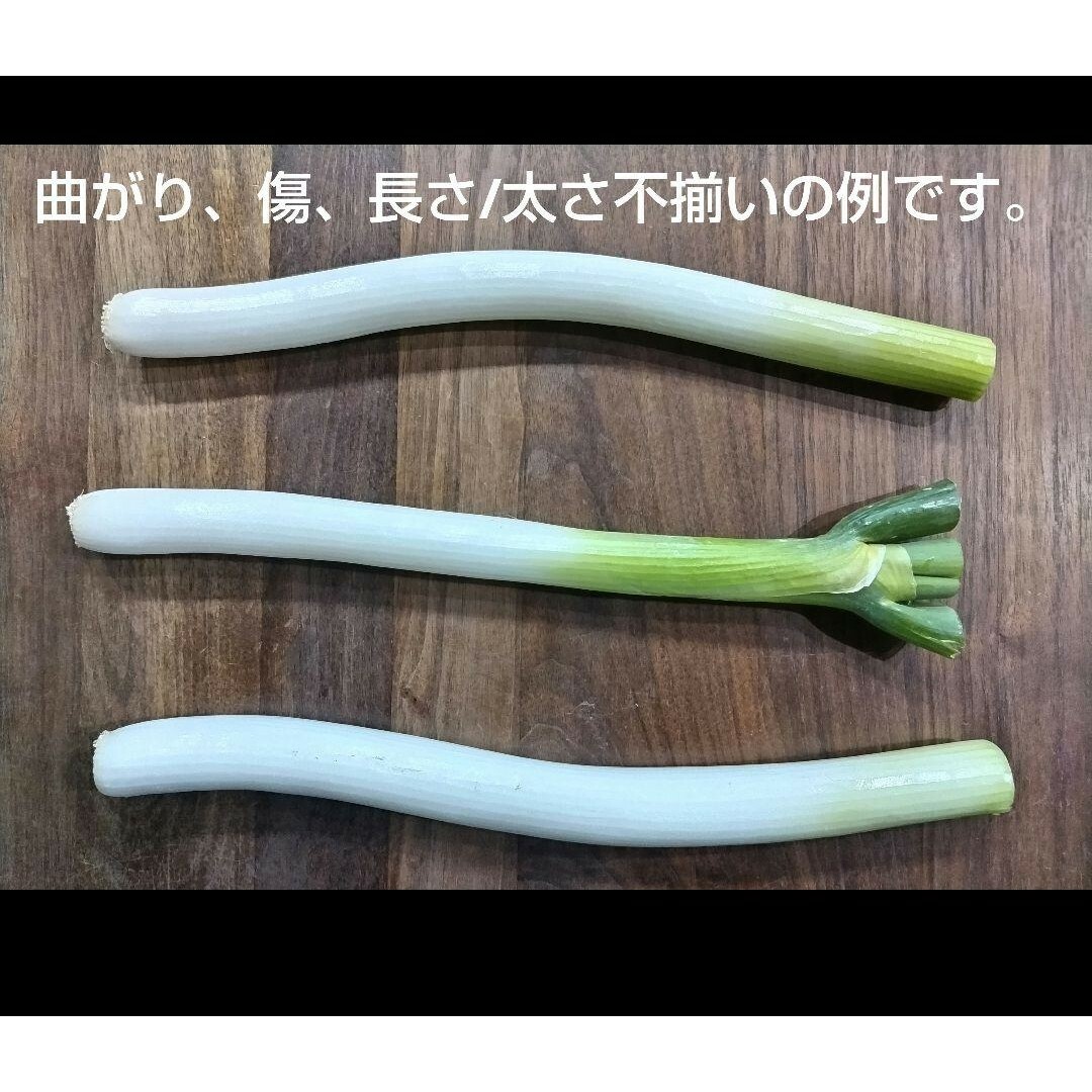 岡山県産　訳アリ　白ネギ　農家直送 食品/飲料/酒の食品(野菜)の商品写真