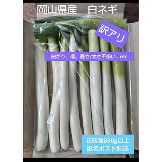 岡山県産　訳アリ　白ネギ　農家直送(野菜)