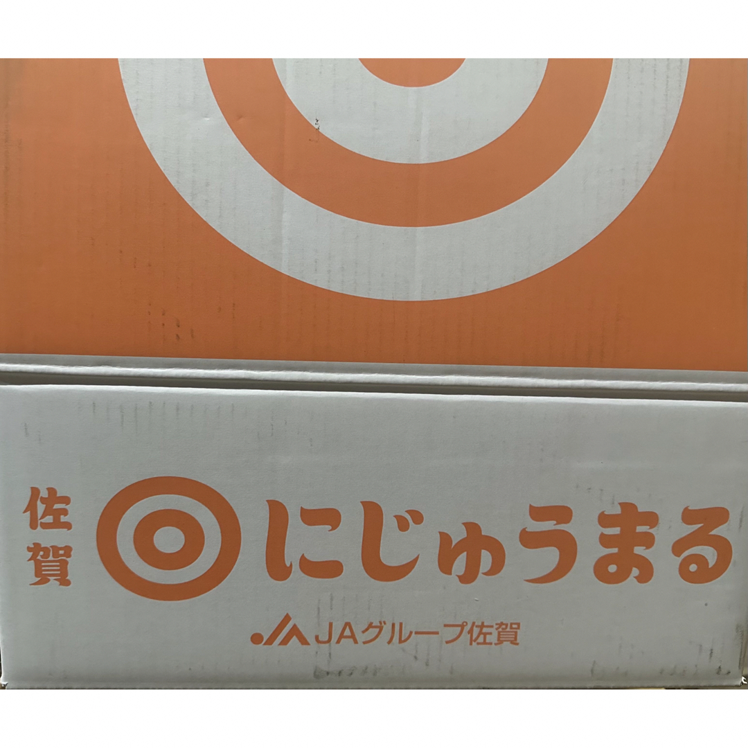 ◎ にじゅうまる 約5kg 2L 高級柑橘 みかん 食品/飲料/酒の食品(フルーツ)の商品写真