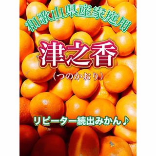 希少柑橘‼️和歌山県産 当店オリジナル 家庭用 津之香3kg箱 みかんキング(フルーツ)