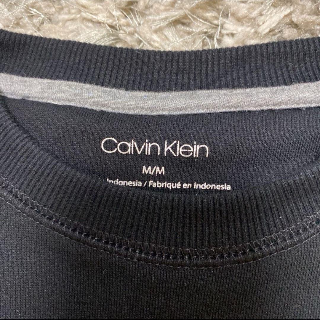 Calvin Klein(カルバンクライン)の【レア】カルバンクライン　スウェット トレーナー　メンズ  ユニセックス メンズのトップス(スウェット)の商品写真