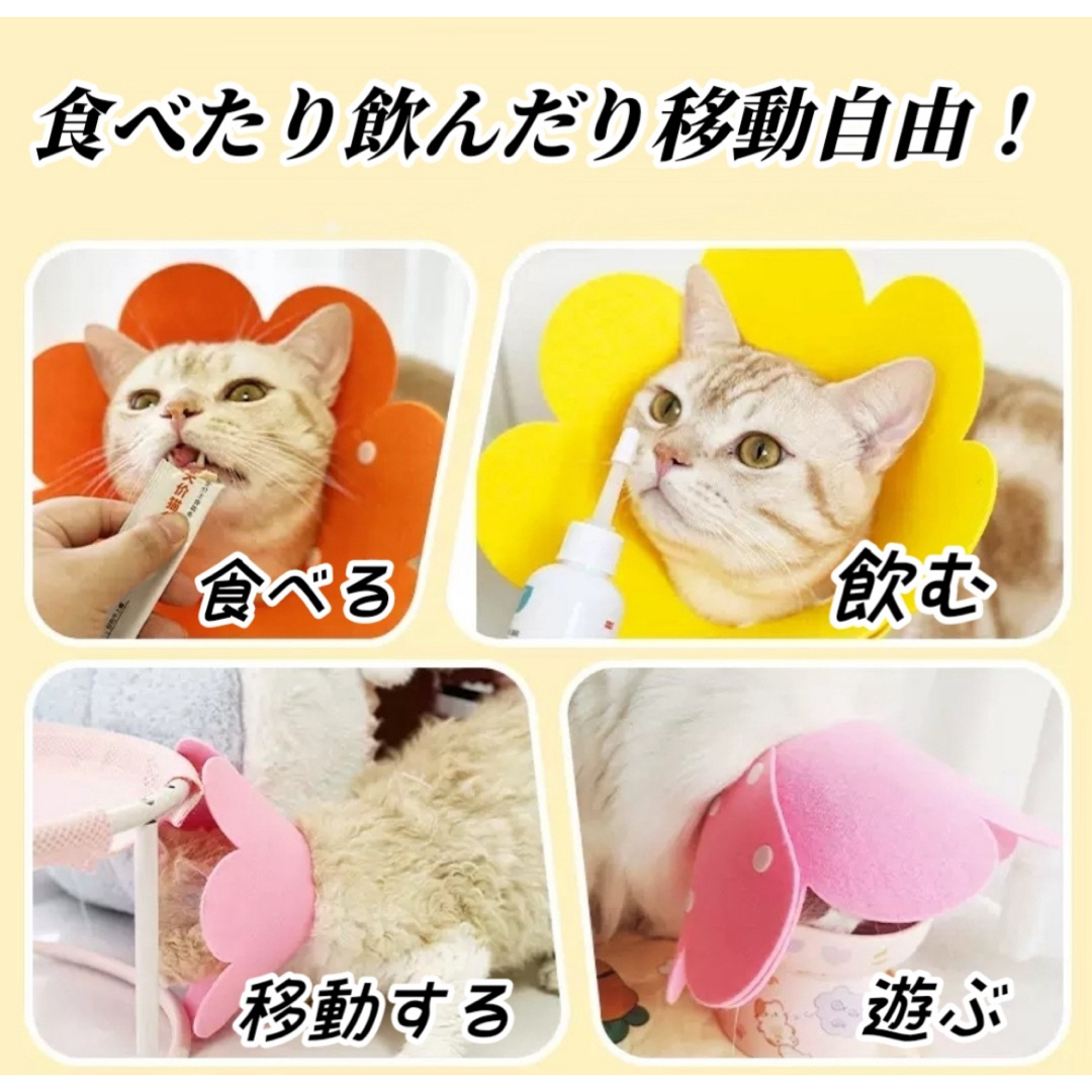 エリザベスカラー M イエロー 猫 犬 ペット用品 傷口保護 舐め防止 引っ掻き その他のペット用品(猫)の商品写真