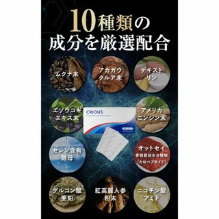 シリアス マカ 亜鉛15m配合 シトルリン アルギニン 厳選成分配合 サプリ 国(その他)